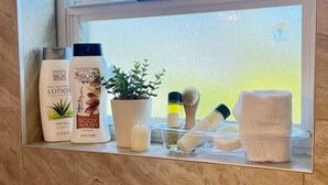 A bathroom shelf with toiletries and a potted plant.