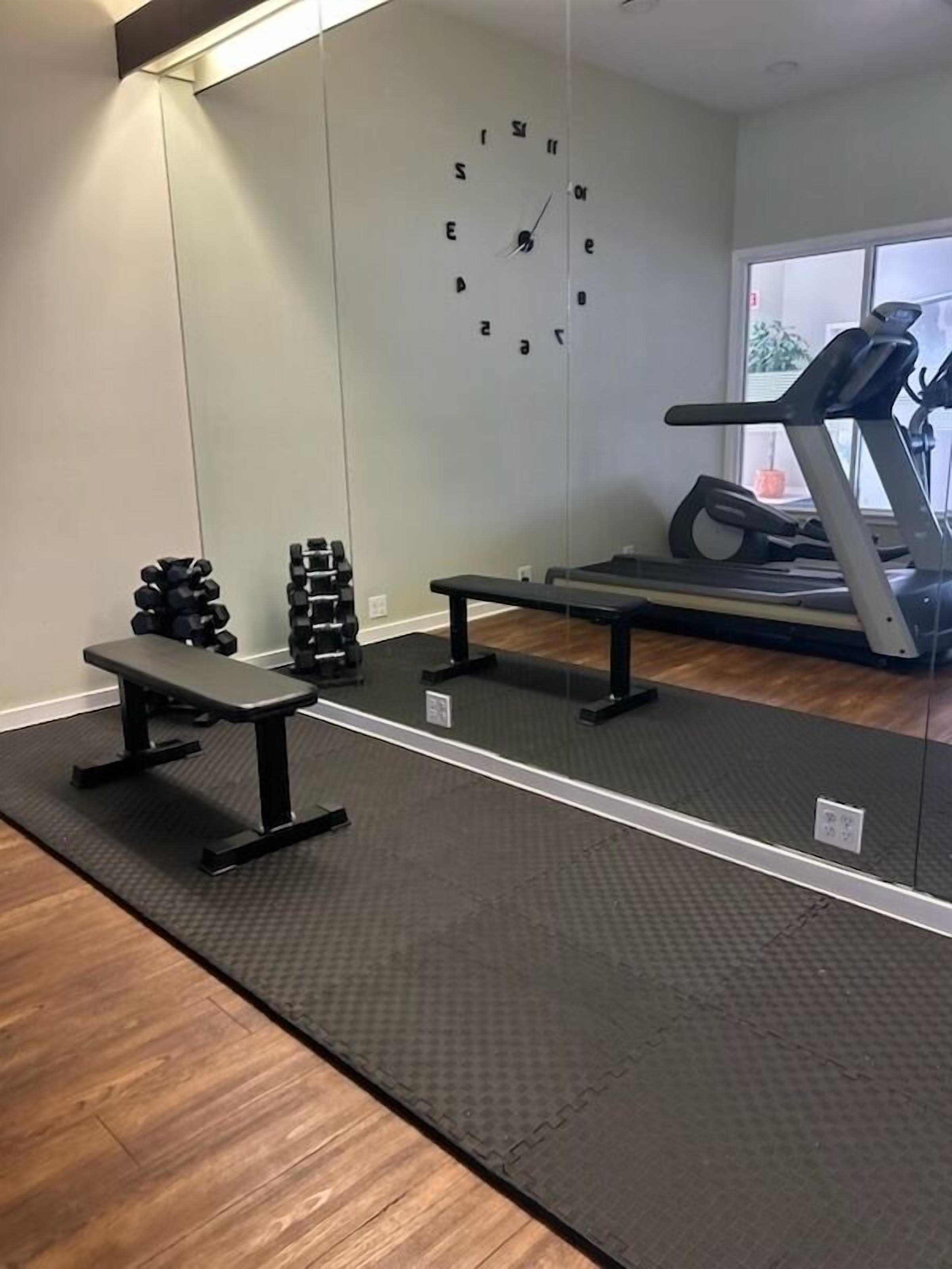 A gym with a treadmill, bench, dumbbells, and a wall clock.