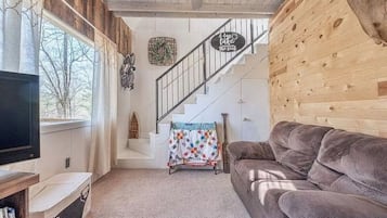 TV, fireplace, DVD player, books