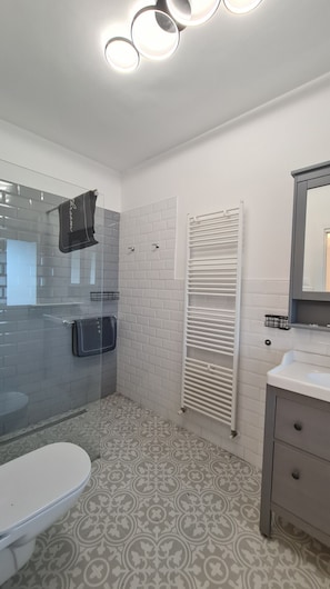 Shower, hair dryer, towels