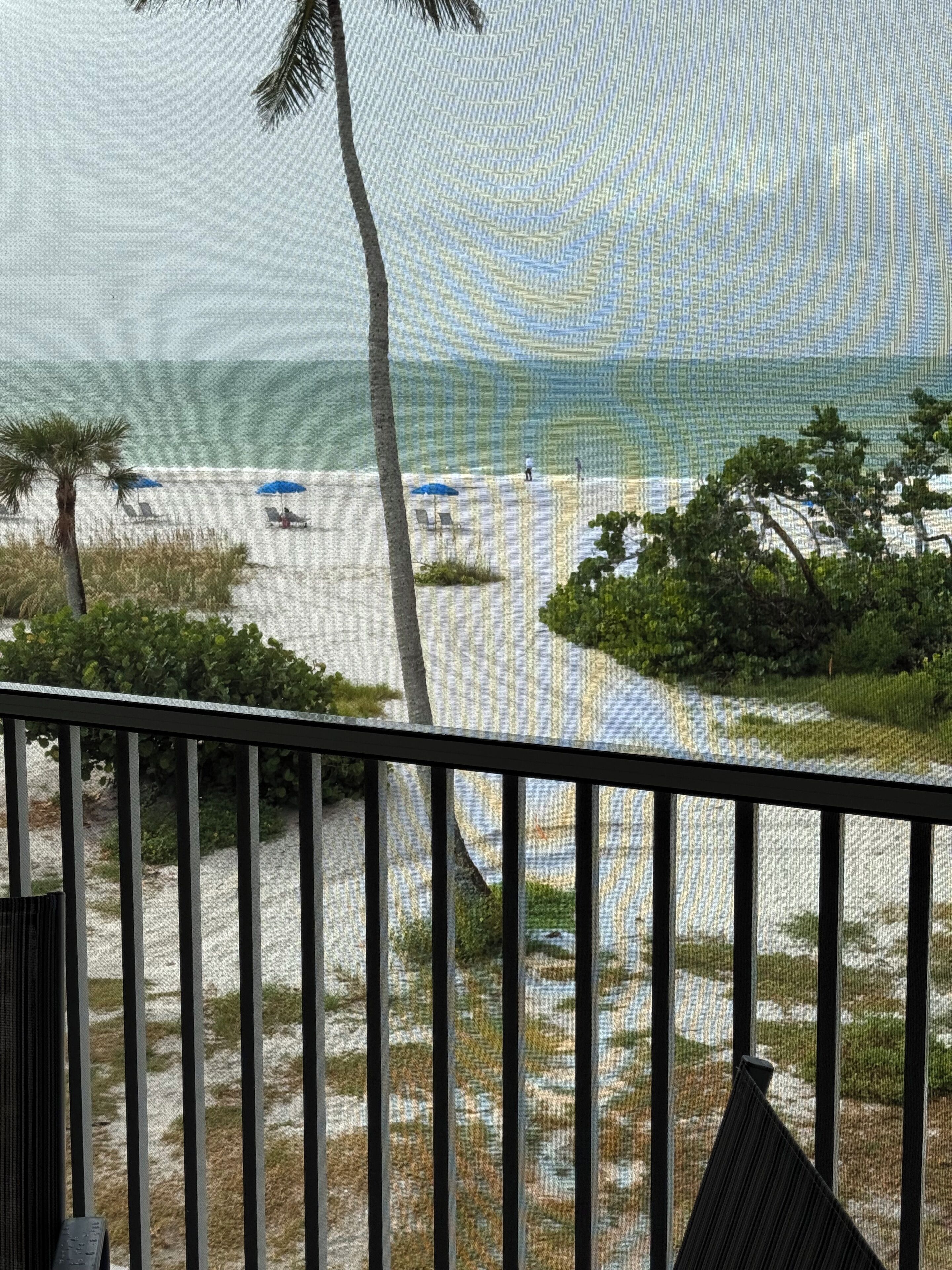 A beach view from a balcony with a railing, palm trees, and beach umbrellas.