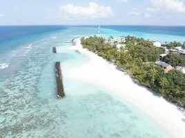 Vista costera con playa despejada, muelle que se adentra en el agua y una hilera de palmeras.