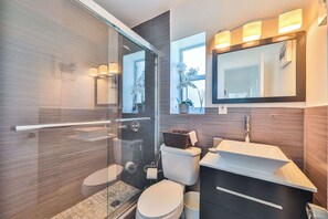 Shower, hair dryer, towels