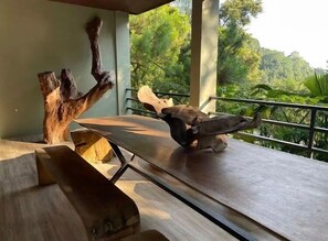 朝食 (ビュッフェ)、毎日提供 (無料)