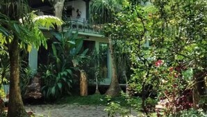 A two-story building with a balcony, surrounded by lush greenery and a stone pathway. - Habitat Hills by Santai Aja (Cisarua)