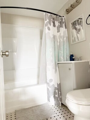 Hair dryer, bidet, soap, shampoo