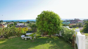 A residential area with a large tree, a white fence, and a view of the ocean.