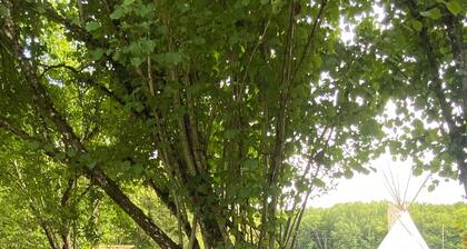 Tipi Sioux en pleine nature