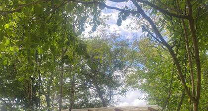 Sioux tepee in the wilderness