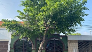 A building with three arched windows and a tree in front. - Rincon Regio - your stay in San Nicolas (San Nicolás de los Garza)