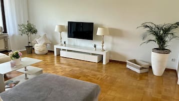 Fernseher