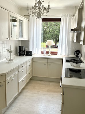 Oven, stovetop, dishwasher, paper towels