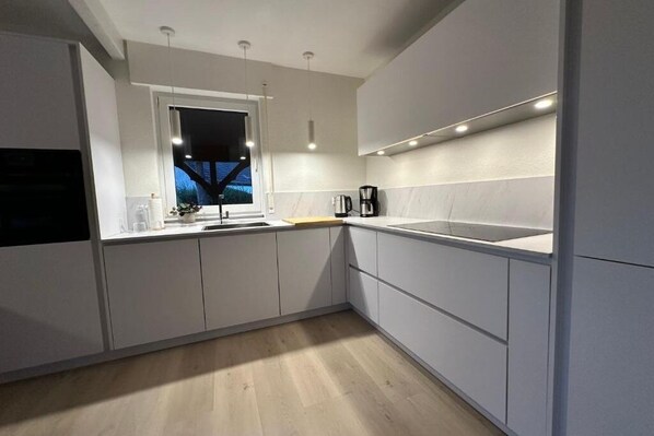 Fridge, oven, stovetop, dishwasher