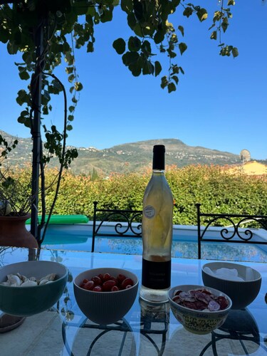 Charming villa, private pool, wood-burning oven, bbq, boule games and garden.