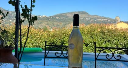 Charming villa, private pool, wood-burning oven, bbq, boule games and garden.