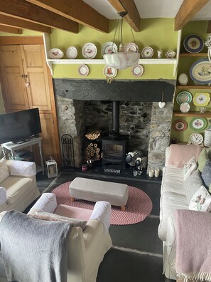 TV, fireplace