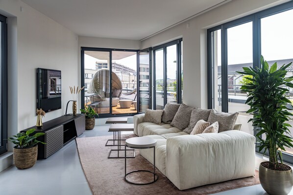 Smart TV, computer monitors