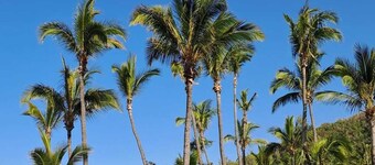 Apartment Joly brise 3 in Terre Sainte near small beach/CHU