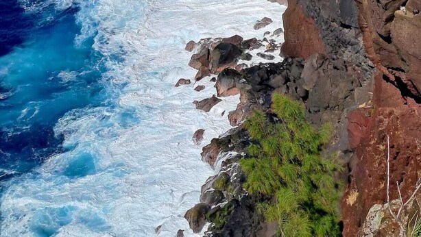 A coastal cliff with waves crashing against it. - Apartment Joly brise 3 in Terre Sainte near small beach/CHU (Saint-Pierre)