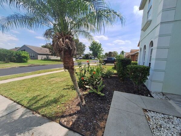 A residential street with a palm tree, a flower bed, and houses. - Luxury Villa - Family Oasis with Private Pool - close to Disney and Universal! (Clermont)