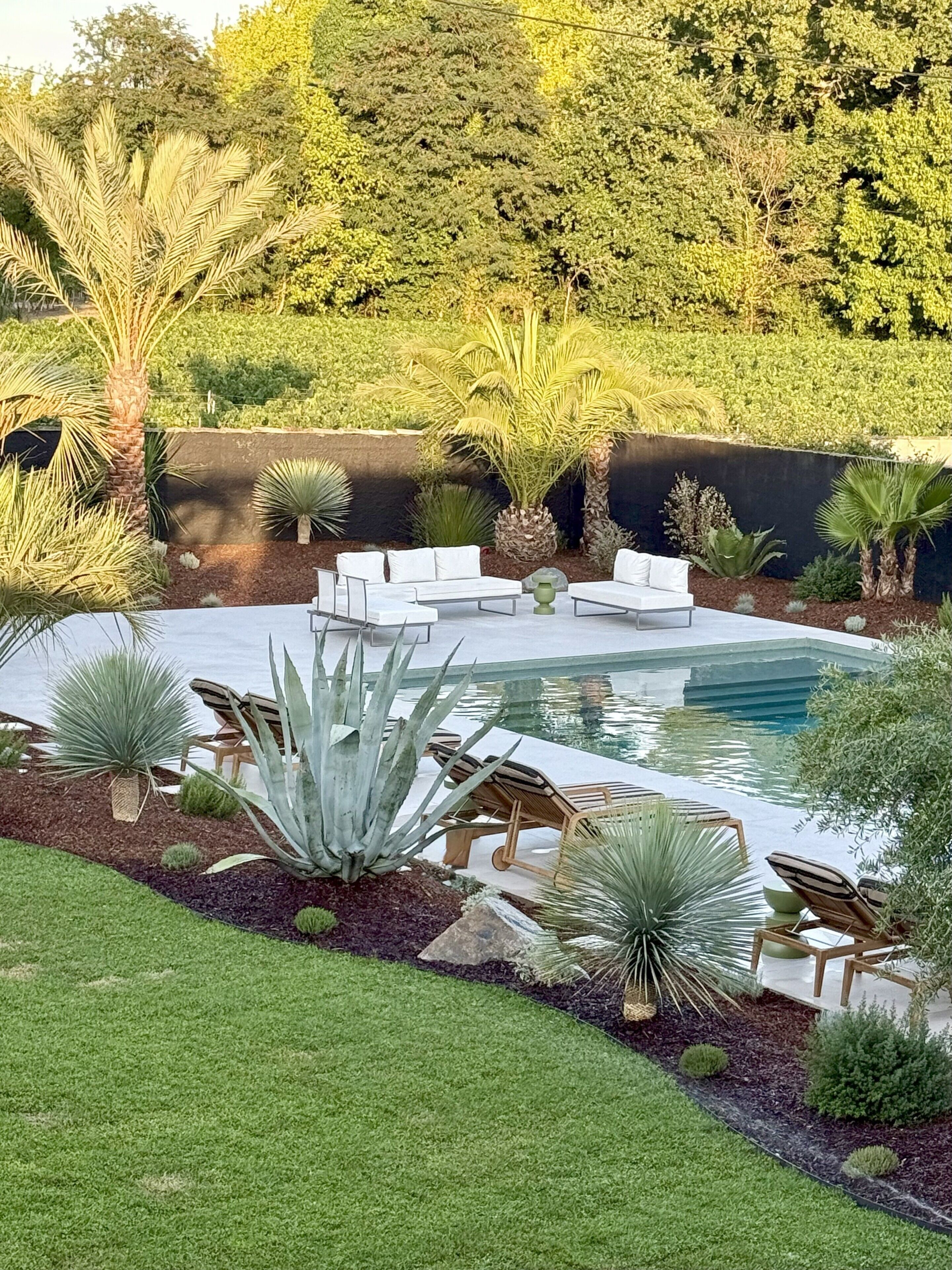 Ein angelegter Garten mit Swimmingpool, umgeben von Pflanzen und Gartenmöbeln.