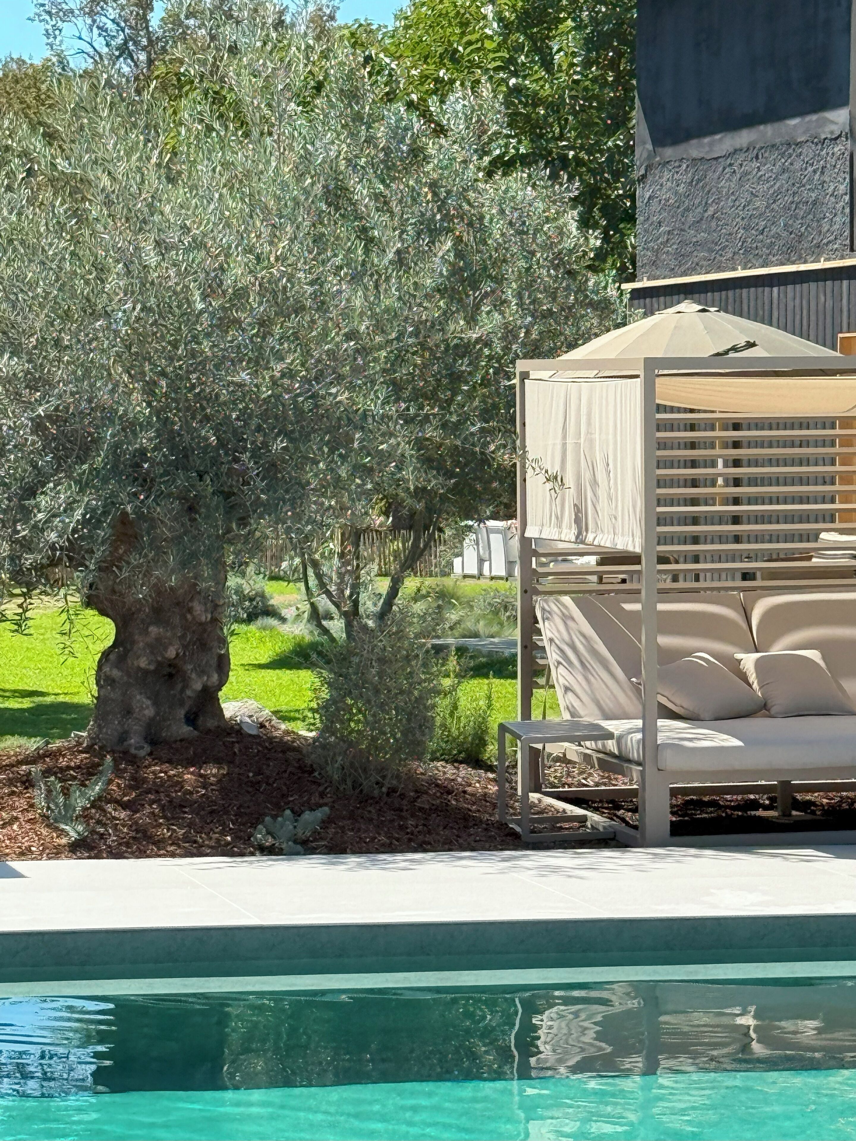 A poolside area with a covered seating area and a tree.