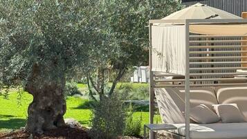 A poolside area with a covered seating area and a tree.