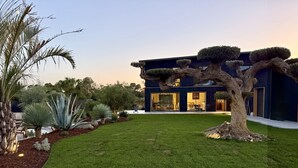 Une maison moderne à deux étages, dotée d’une pelouse bien entretenue et agrémentée de diverses plantes.