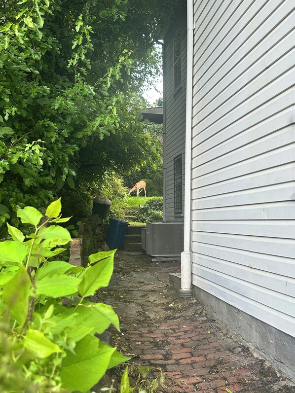 Property grounds
