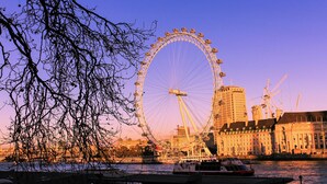 A Ferris wheel, a body of water, and buildings in the background.