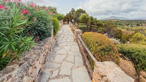 Un sendero de piedra que atraviesa un jardín con diversas plantas y arbustos.