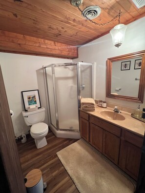 Shower, towels, soap, toilet paper
