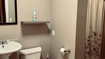 Hair dryer, towels, soap, toilet paper