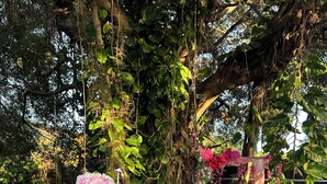 A round table with a white tablecloth, surrounded by clear plastic stools, set on artificial grass with scattered leaves. - Casa Del Encanto, Beautiful home 5 minutes from  Wynwood Design destrict (Miami)