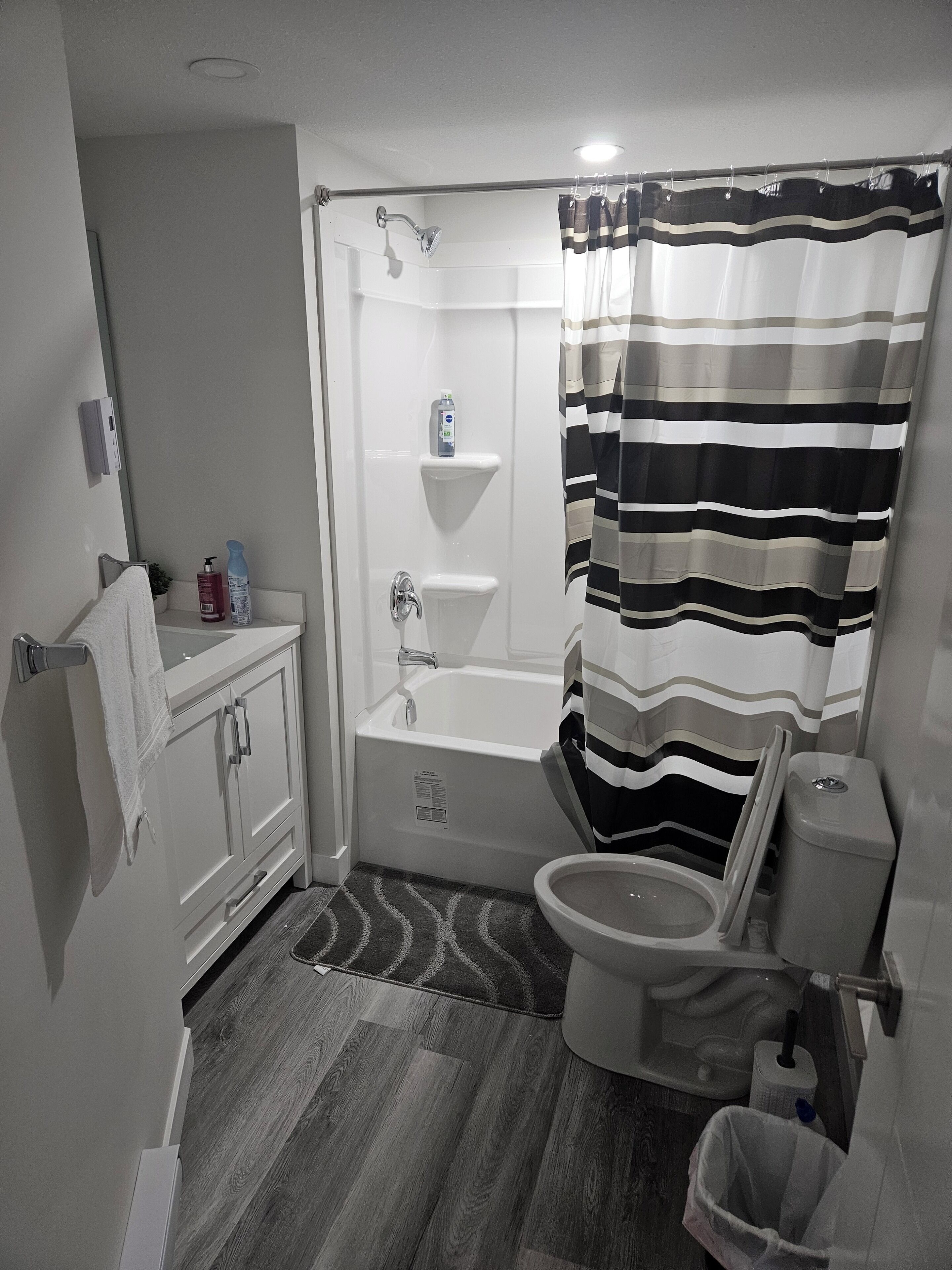 Hair dryer, towels, soap, toilet paper