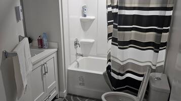 Hair dryer, towels, soap, toilet paper