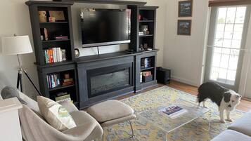 TV connectée, cheminée, livres, chaîne hi-fi