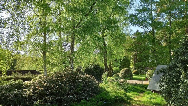 A lush garden with mature trees, well-maintained hedges, and a clear pathway.