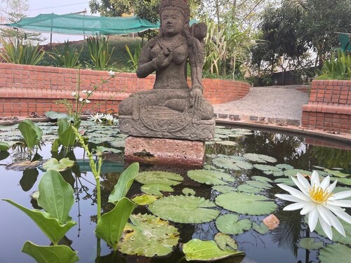 Nature Break: Farm Stay Minutes from Navi Mumbai