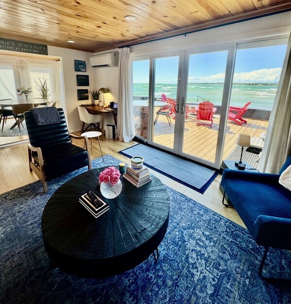 Smart TV, fireplace, books