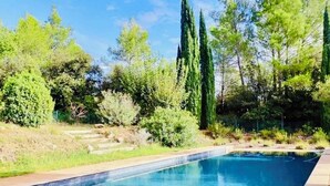 Ein rechteckiger Swimmingpool mit klarem, blauem Wasser, umgeben von verschiedenen Bäumen und Sträuchern.