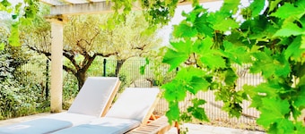 Villa Maillard - Swimming pool & vineyard view