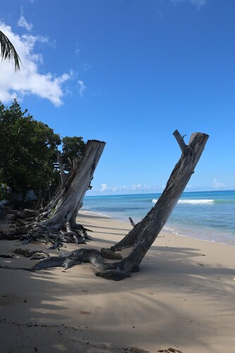 Spacious Fitts Village apartment | Ocean views | 6 mins walk to beach