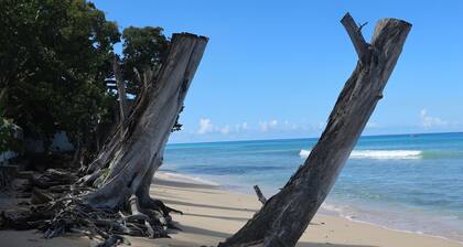 Spacious Fitts Village apartment | Ocean views | 6 mins walk to beach