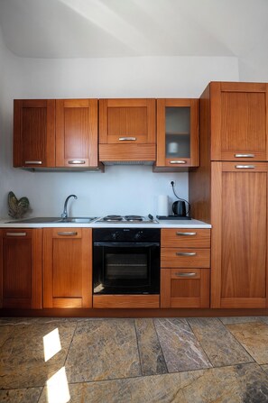 A kitchen with wooden cabinets, a stainless steel sink, a stove, and a dishwasher. - Akti Giannaki (Tinos)