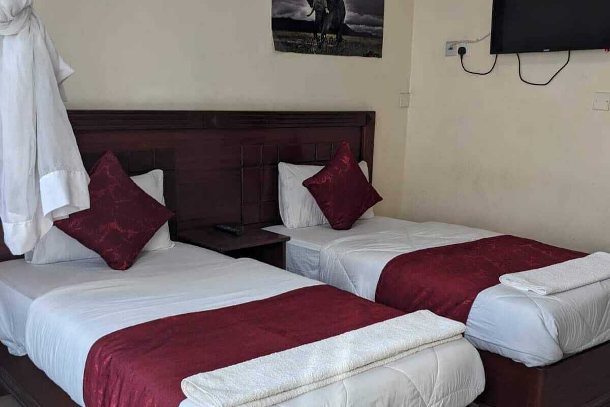 Habitación de hotel con dos camas, un televisor en la pared y una imagen de un elefante.