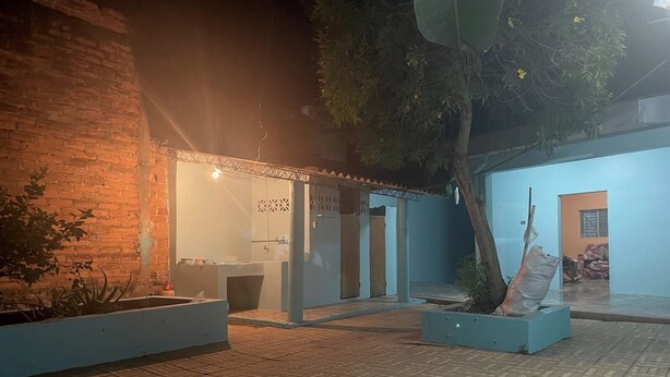 Spazio esterno con un muro in mattoni, un piccolo edificio con porta in vetro e un albero.