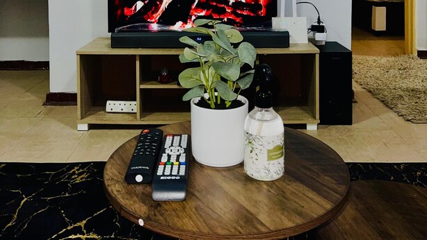 A living room with a television, a potted plant, and a remote control on a coffee table.
