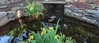 Downtown! Private Entrance Guest Suite in State College.