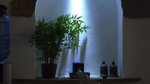 A room with a stone archway, a potted plant, and a water feature. - Cabarete Center, 1BR Apartment with Sea View (Cabarete)